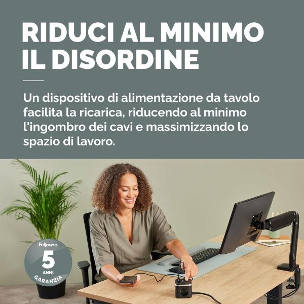 Entrelinha Fellowes 100137168 Branco (2 m)