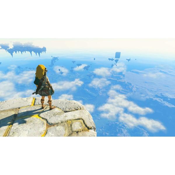 Consola de Jogos Portátil Nintendo 10016312