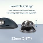 Tapete de Rato Kensington K62438WW Cinzento