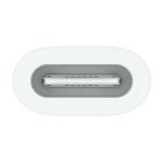 Tablets gráficos e pens Apple MWML3ZM/A