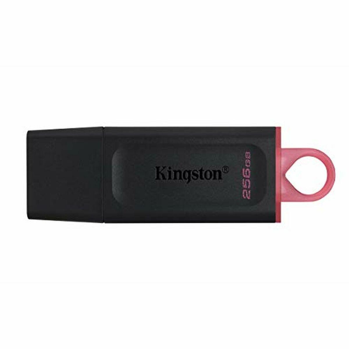 Memória USB Kingston DTX/256GB Corrente para Chave Preto 256 GB