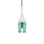Conector RJ45 Categoria 6 FTP Startech OM4RLCLC7M Violeta 7 m