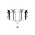 Suporte de Mesa para Ecrã Startech ARMDUAL30           