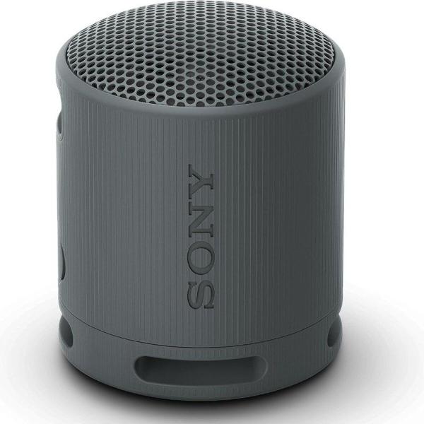 Altifalante Bluetooth Portátil Sony XB100 Preto