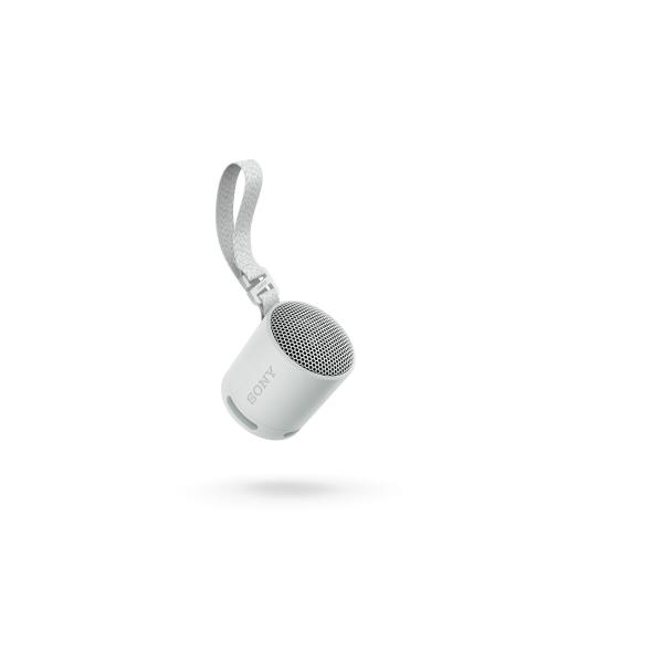 Altifalante Bluetooth Portátil Sony SRSXB100H.CE7 Cinzento