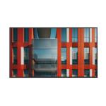 Monitor NEC 60005925 75" 4K Ultra HD