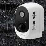 Placa Gráfica Asus 90SKC000-M8VAN0 8 GB GDDR6