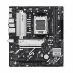 Placa Mãe Asus 90MB1LV0-M0EAY0 AMD B850 AMD AM5