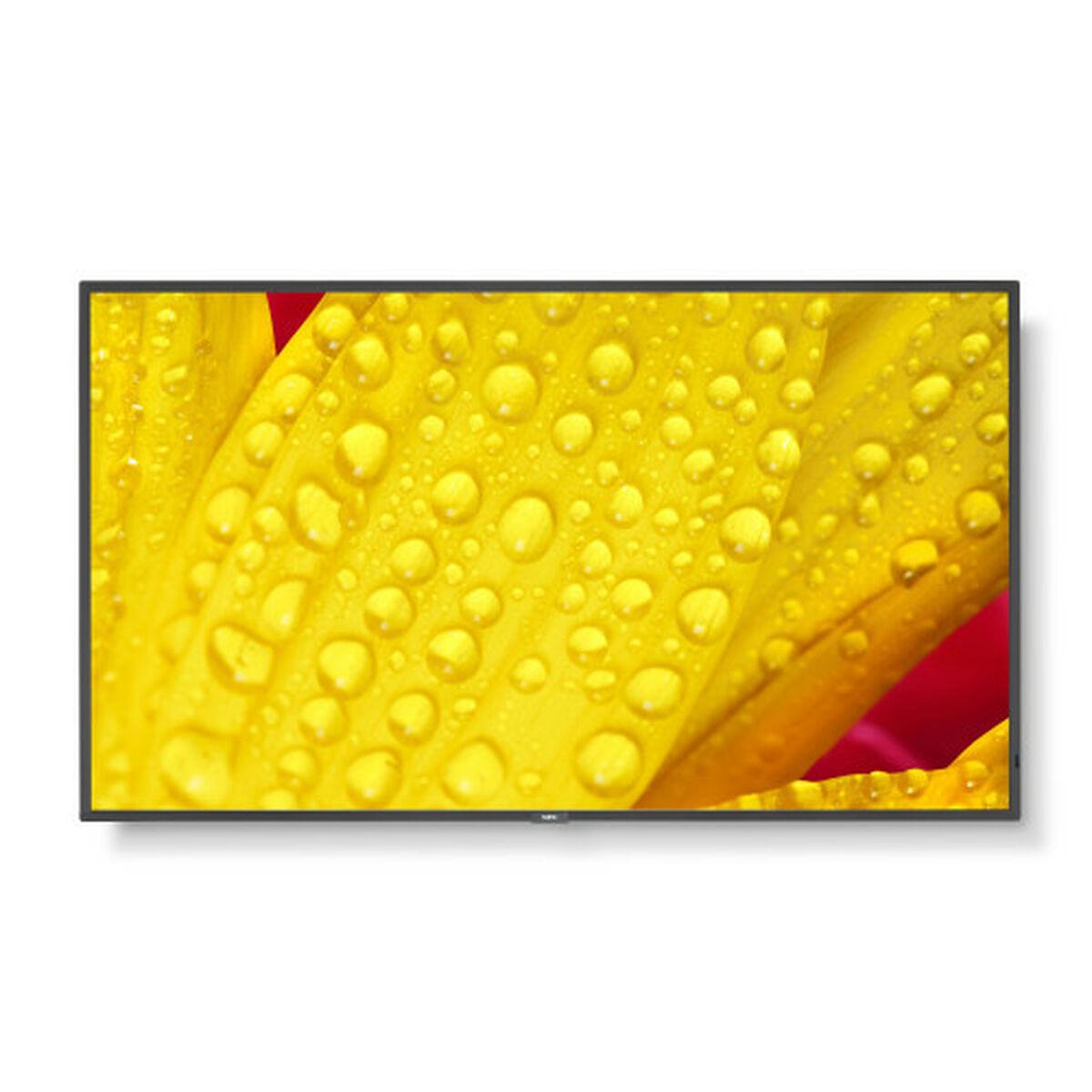 Monitor NEC 60006085 50" 4K Ultra HD