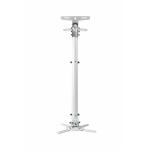 Suporte de Teto para Prejetor Optoma OCM815W