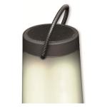 Altifalante Bluetooth Denver Electronics 111151010720 5 W Bluetooth LED RGB