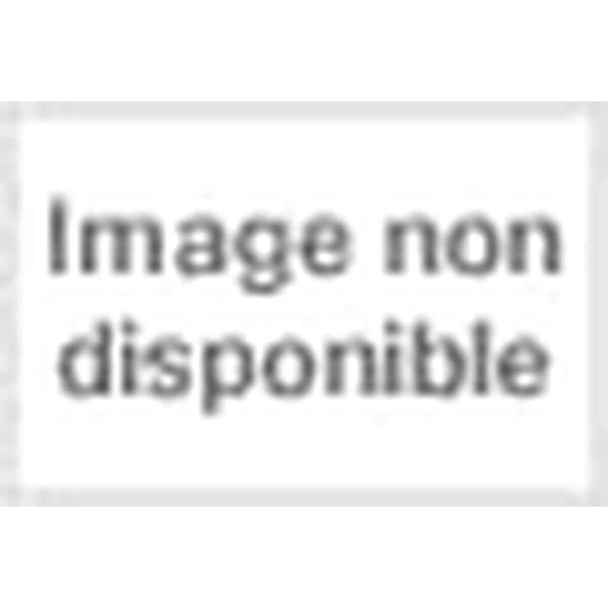 Tinteiro de Tinta Original Superbulk