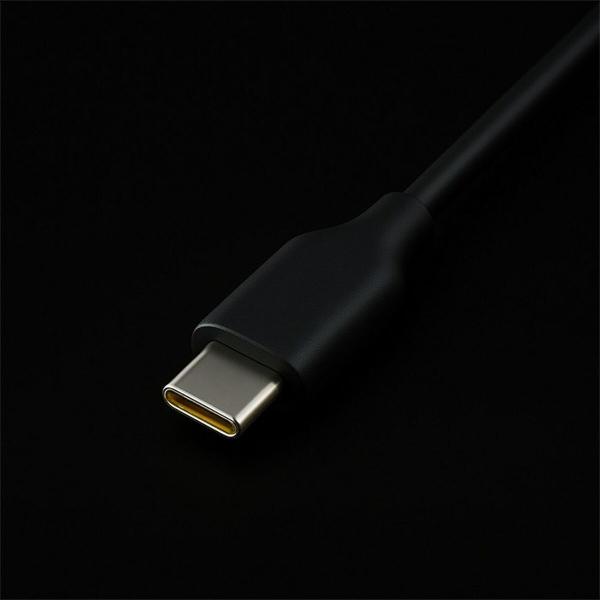 Carregador de Parede Qoltec 52419