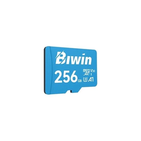 Cartão de Memória Micro SDXC Biwin MS100 256 GB