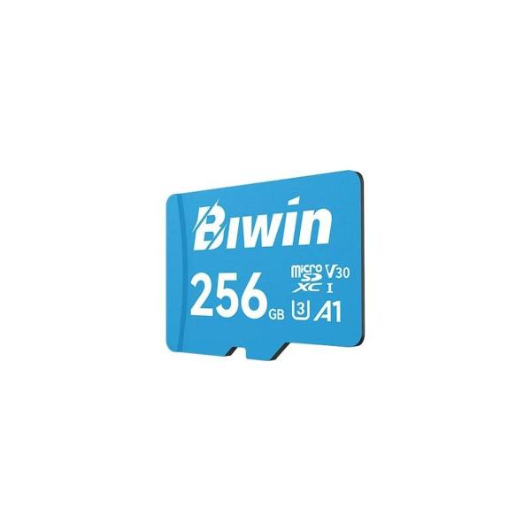 Cartão de Memória Micro SDXC Biwin MS100 256 GB