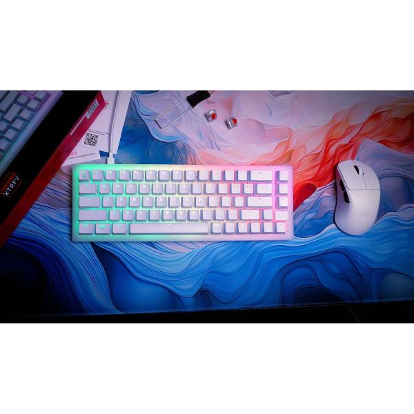 Teclado e Rato Cherry CXK5V2RGBCPTTPWHTRFR