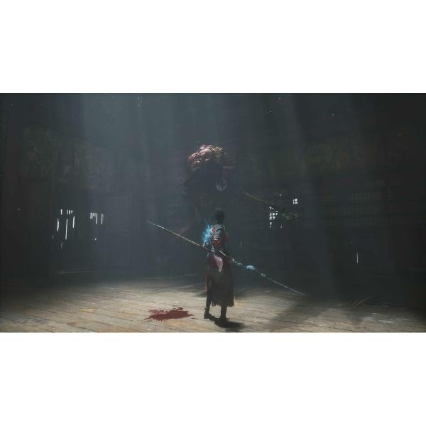 Jogo eletrónico PlayStation 5 Just For Games