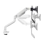 Suporte de Mesa para Ecrã Neomounts DS75S-950WH2 Branco 27"