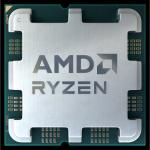 Processador AMD 100-000000597