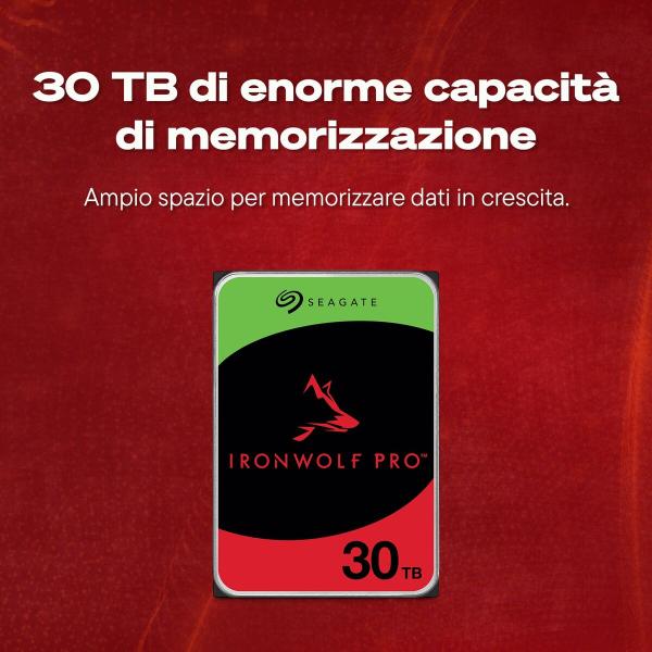 Disco Duro Seagate ST30000NT011 3,5"