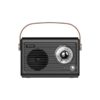 RADIO PORTATIL SAVIO RS-01 BLACK-BROWN