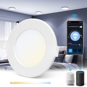 Painel Smart LED Inteligente Redondo Ø11,5cm Wi-Fi RGB+CCT 6W 2700K ~ 6500K 600Lm