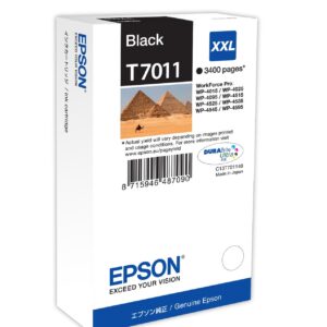 Tinteiro Preto Cap. Extra WP-4000/4500 - EPSON