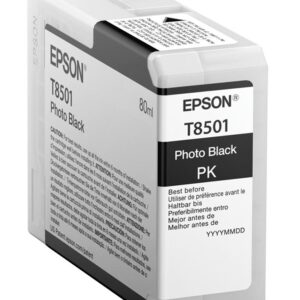Tinteiro EPSON Photo Preto T850100 - C13T850100
